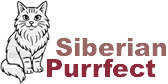 Siberian Purrfect